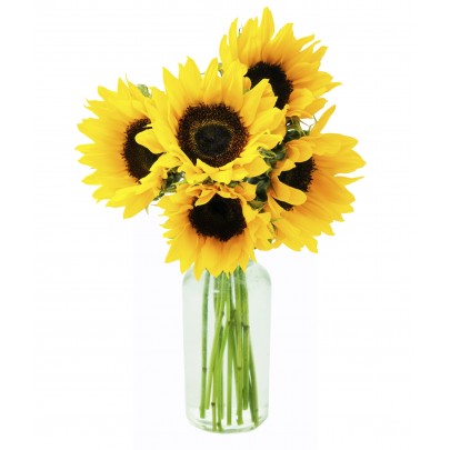 Soleil Sunflowers